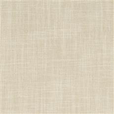 Everywhere - Thom Filicia - Dove