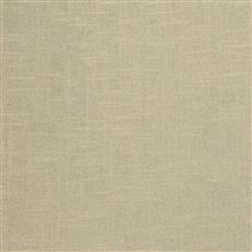 Wexford Metallic Golden Oyster