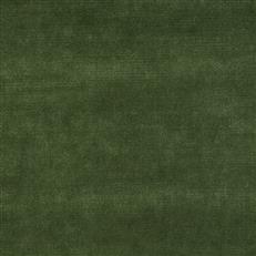 Studio Velvet Juniper