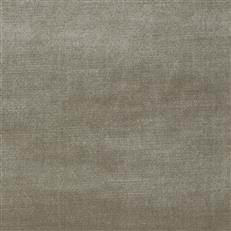 Studio Velvet Parchment