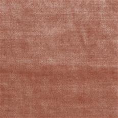 Studio Velvet Persimmon