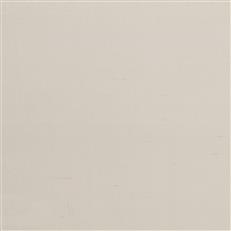 Algardi - Silk - Coconut