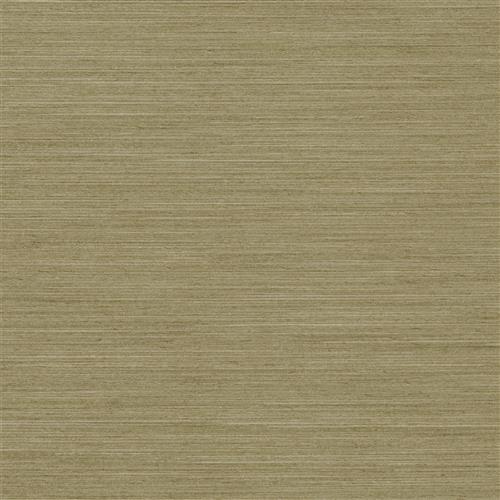 sophistication-lichen