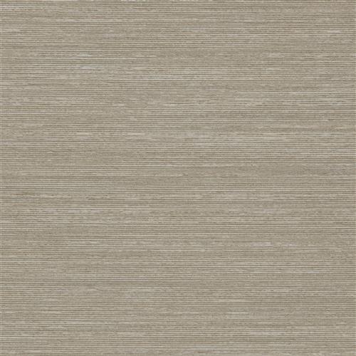 sophistication-nutria