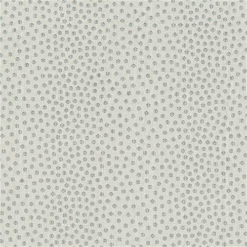 catolo-crypton-home-sea-star