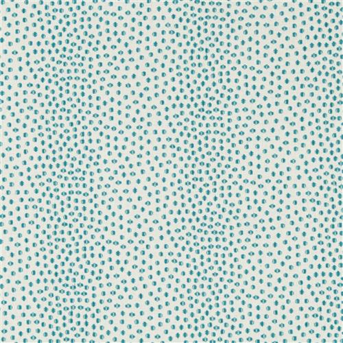 catolo-crypton-home-teal