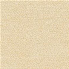 Ciottolo - Crypton Home - Cream