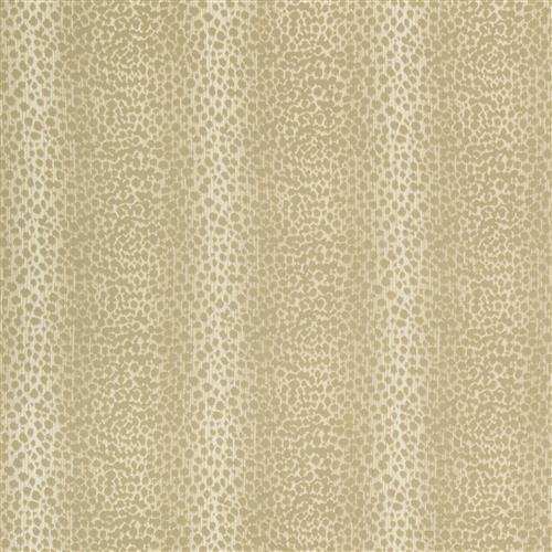 feroce-crypton-home-dove