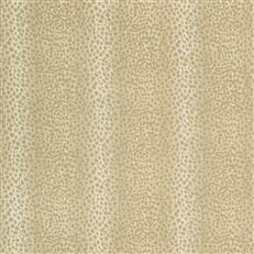 Feroce - Crypton Home - Dove