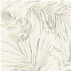 SO2451 - Candice Olson Wallpaper - Paradise Palm