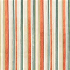 Norwich Apricot