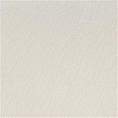 Rochdale Ivory