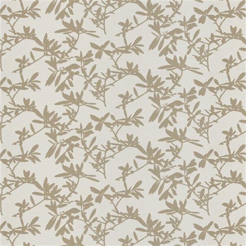 tryst-birch