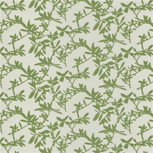 tryst-spring