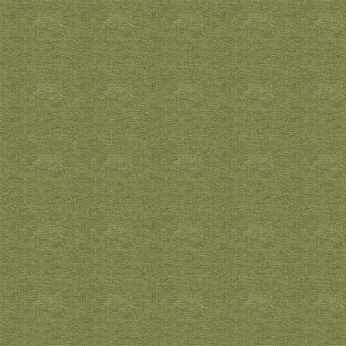 yoko-fern