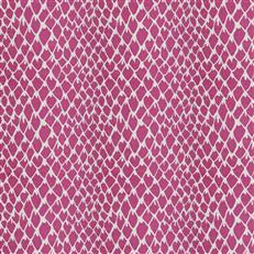 Guinea - Dana Gibson Crypton Home - Fuchsia