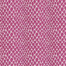 Guinea - Dana Gibson Crypton Home - Fuchsia