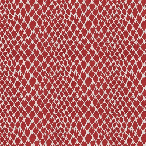 guinea-dana-gibson-crypton-home-persimmon