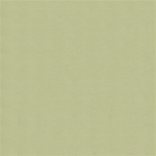 jackie-texture-dana-gibson-crypton-home-apple