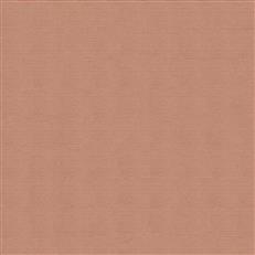 Jackie Texture - Dana Gibson Crypton Home - Coral