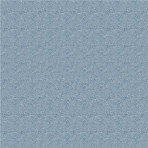 Scarpa - Dana Gibson Crypton Home - Blue