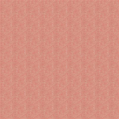 Scarpa - Dana Gibson Crypton Home - Coral