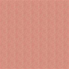 Scarpa - Dana Gibson Crypton Home - Coral