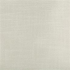 Palila - 1 Snow