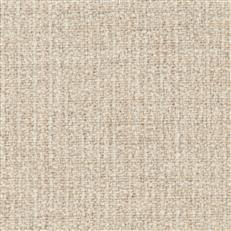 Towee - 16 Papyrus