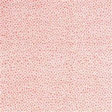 Cheetah - Outdoor Coral Reef