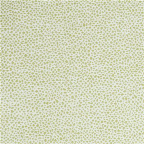 cheetah-outdoor-lime