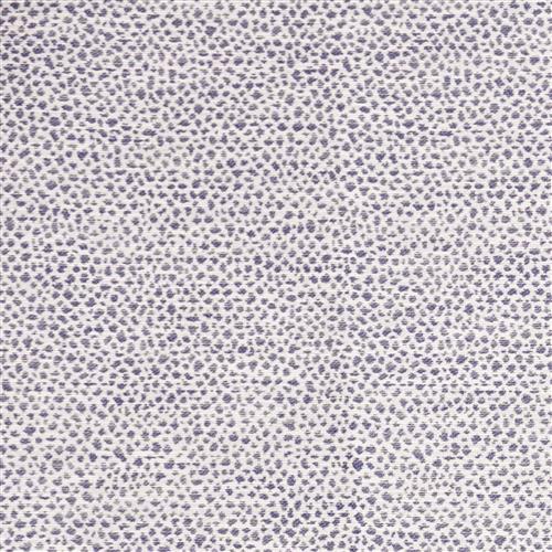 cheetah-outdoor-marine
