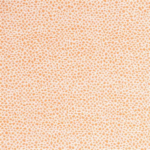 Cheetah - Outdoor Tangerine