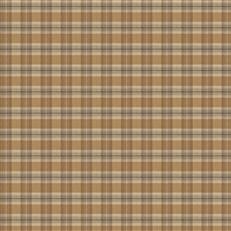 Lanini - Luxe Collection - Lichen