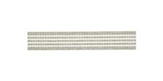 2 1/4" Tape - Thadon Parchment