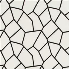 Affinity - 18 Graphite