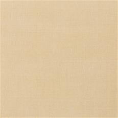 Kenilworth Velvet - 116 Beige