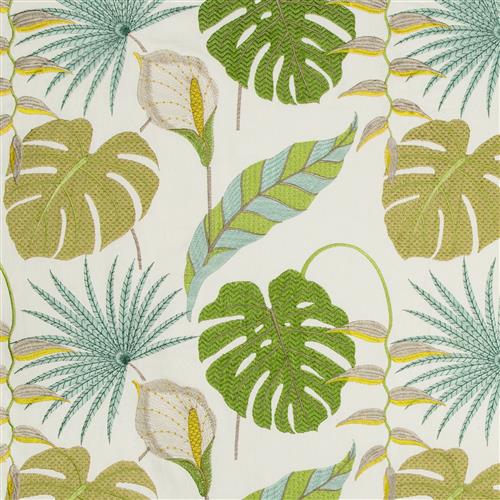 kington-314-cactus