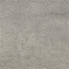 Point - 21 Graphite