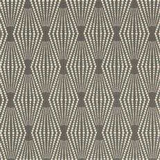 Starboard - 11 Graphite