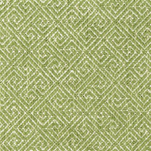 thurston-3-cactus