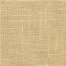 Lovely Aura - 1601 Cream