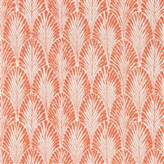 Felloe - 12 Sorbet