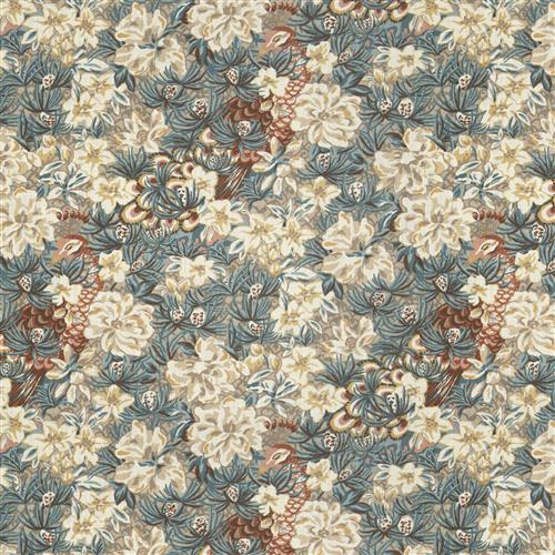 deni-coral-cay