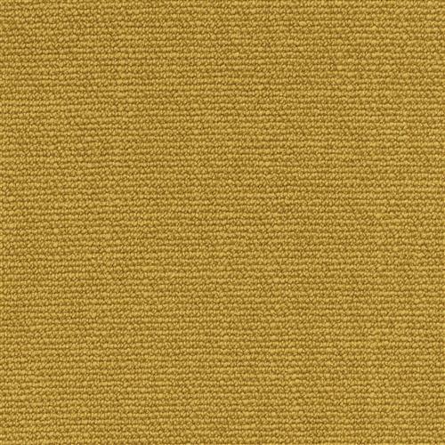 jonita-saffron