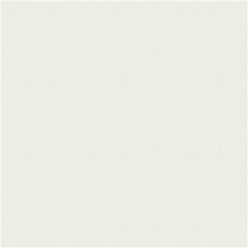 korba-silk-oyster