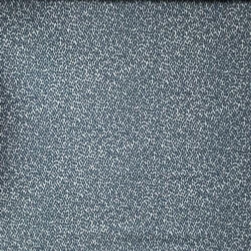 daija-blueberry