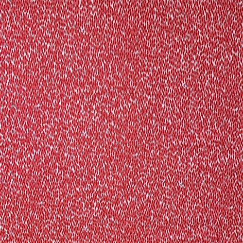 daija-cranberry