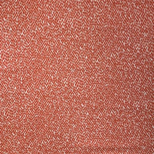 daija-melon