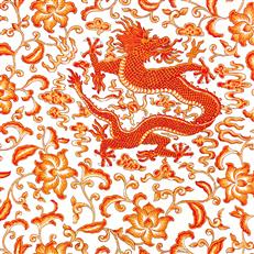 Chi'en Dragon - Scalamandre - Persimmon